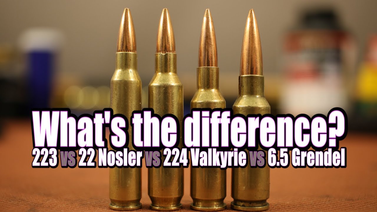 Picking the right AR cartridge for your needs
