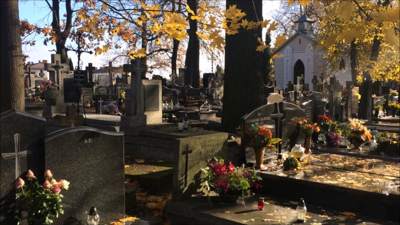 Cmentarz Tarchomiński - listopad 2016