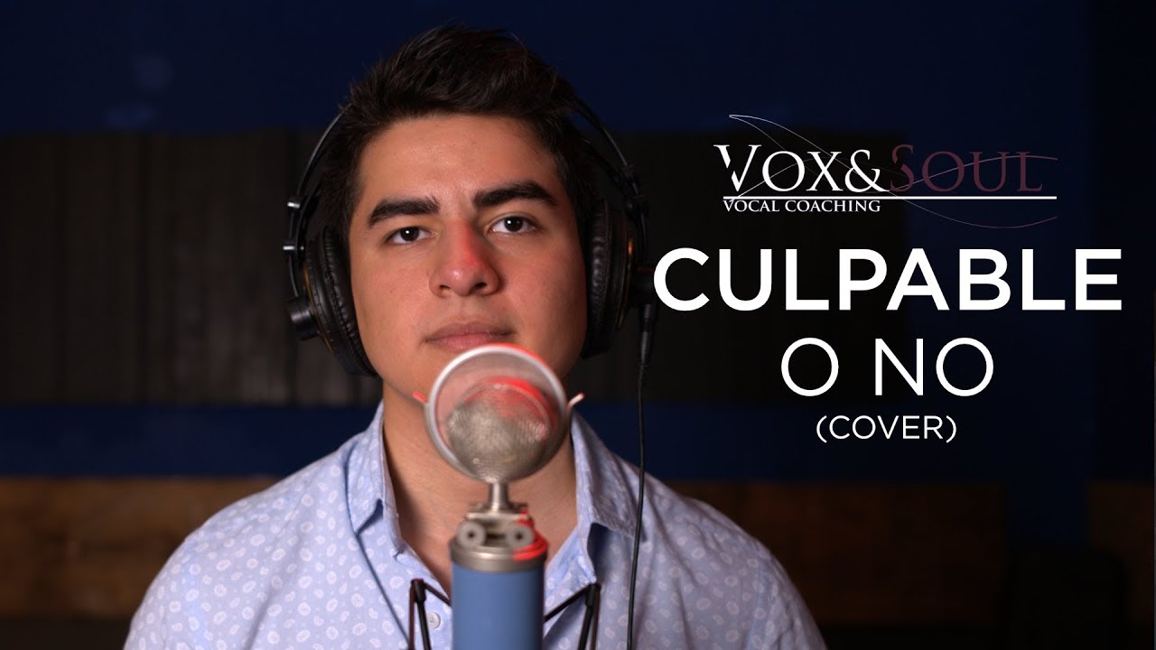 Luis Miguel - Culpable o No (Andr&eacute;s Alanis Cover) | Vox&Soul