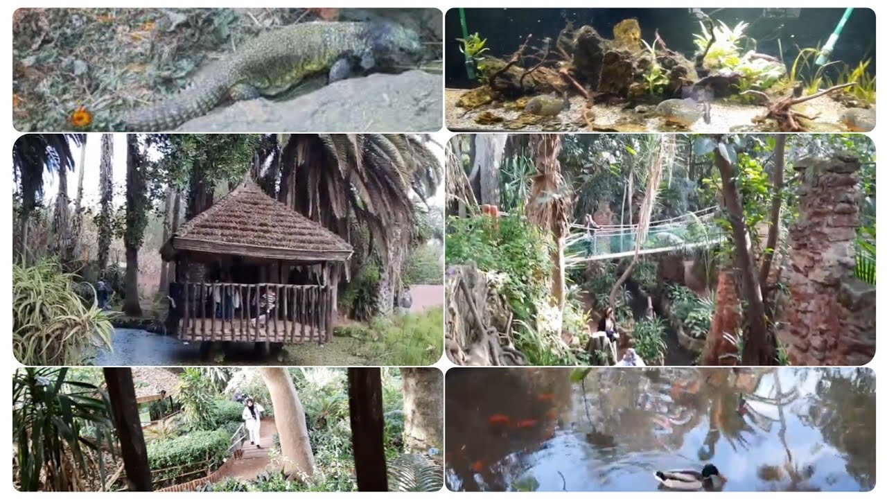 خريجى  مع صحباتي و وليداتنا إلى الحديقة العجيبة ببوقنادل🦆🪱 les jardins exotiques .