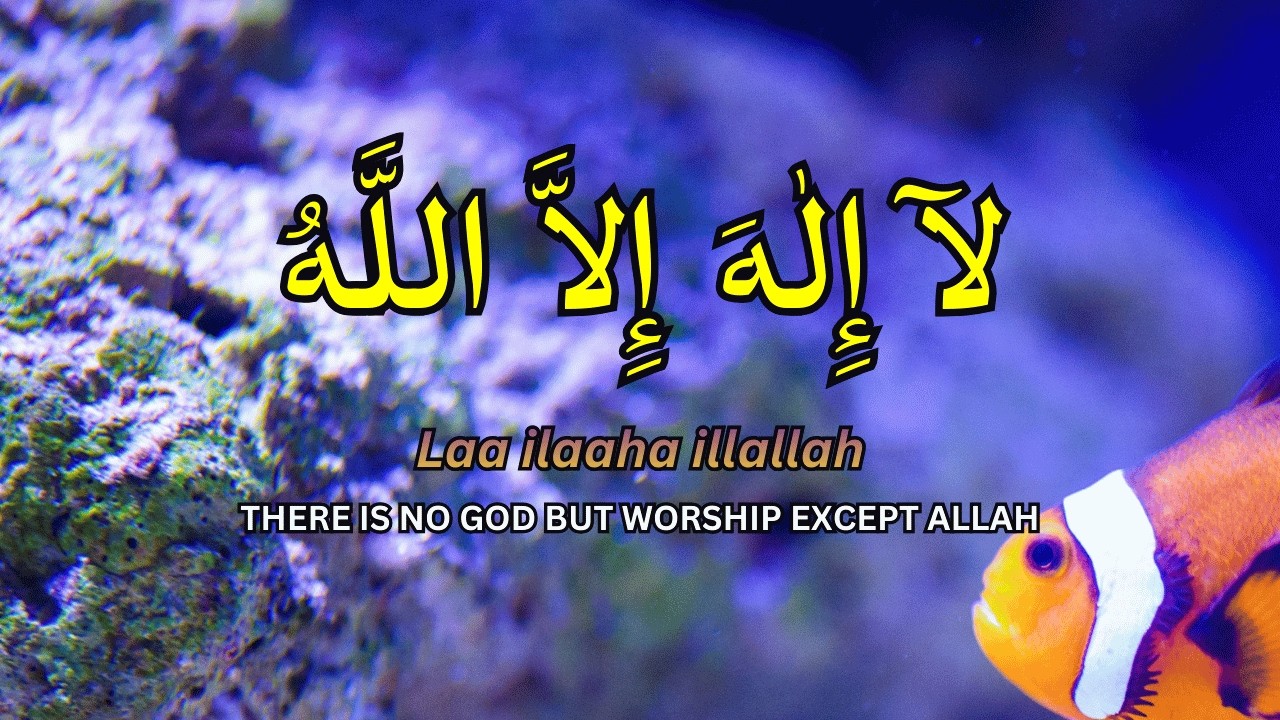 Daily Dzikir LAILAHAILLALLAH for Peaceful Routine