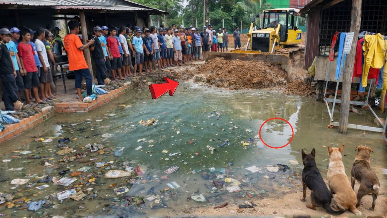 +Great new project!! Complete 100% clearing, pushing soil, garbage in water the houses by Bulldozer
