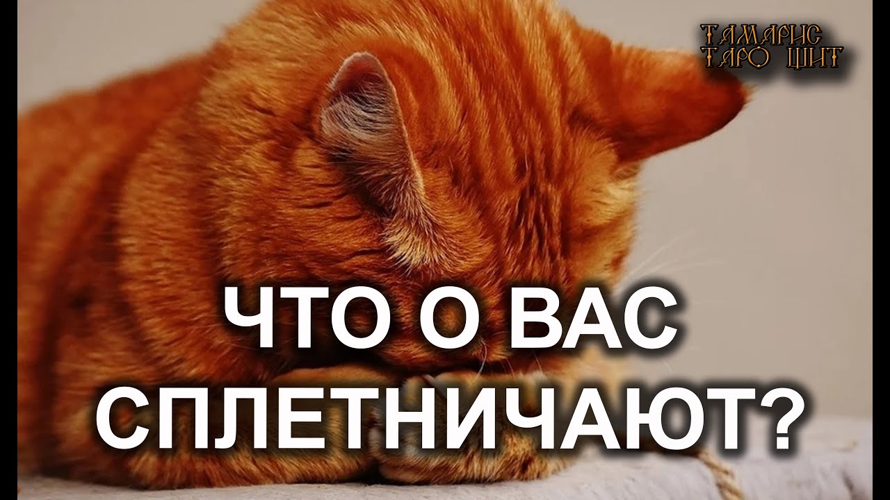 Что о вас сплетничают?🔥 🔥 #таро#tarot#gadanie#онлайн#гадание#расклад#таролог