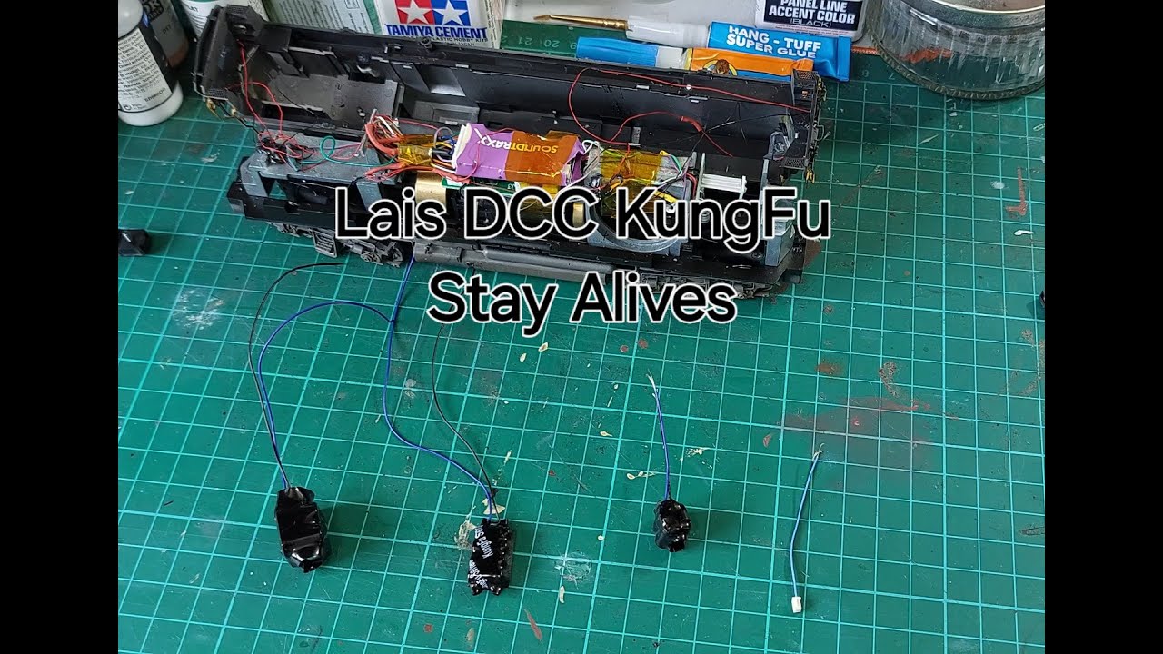 Lais DCC KungFu Stay alive
