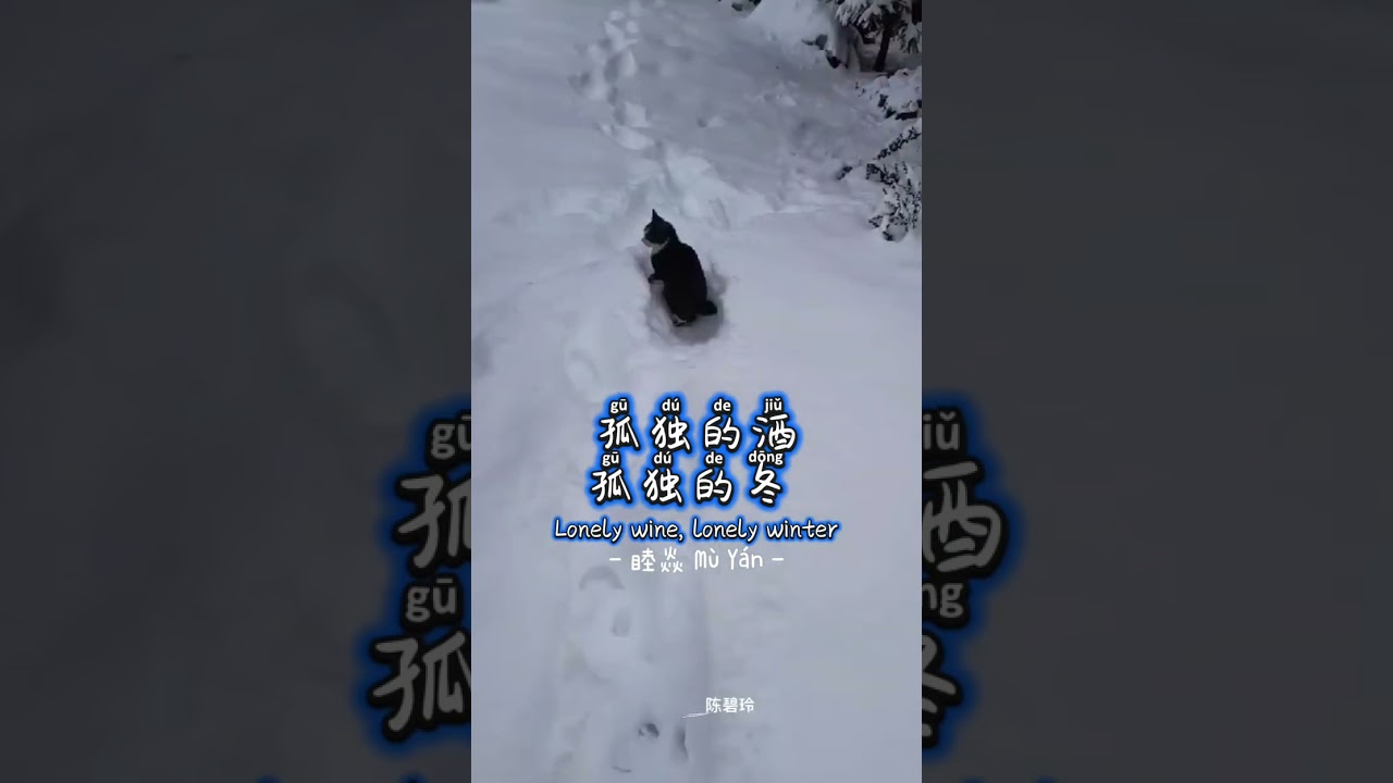🎵🎶🥃 孤独的酒孤独的冬 ❄️🎶🎵 Gū Dú De Jiǔ Gū Dú De Dōng ~ 🎤 睦焱 Mù Yàn ~ Lonely Wine, Lonely Winter