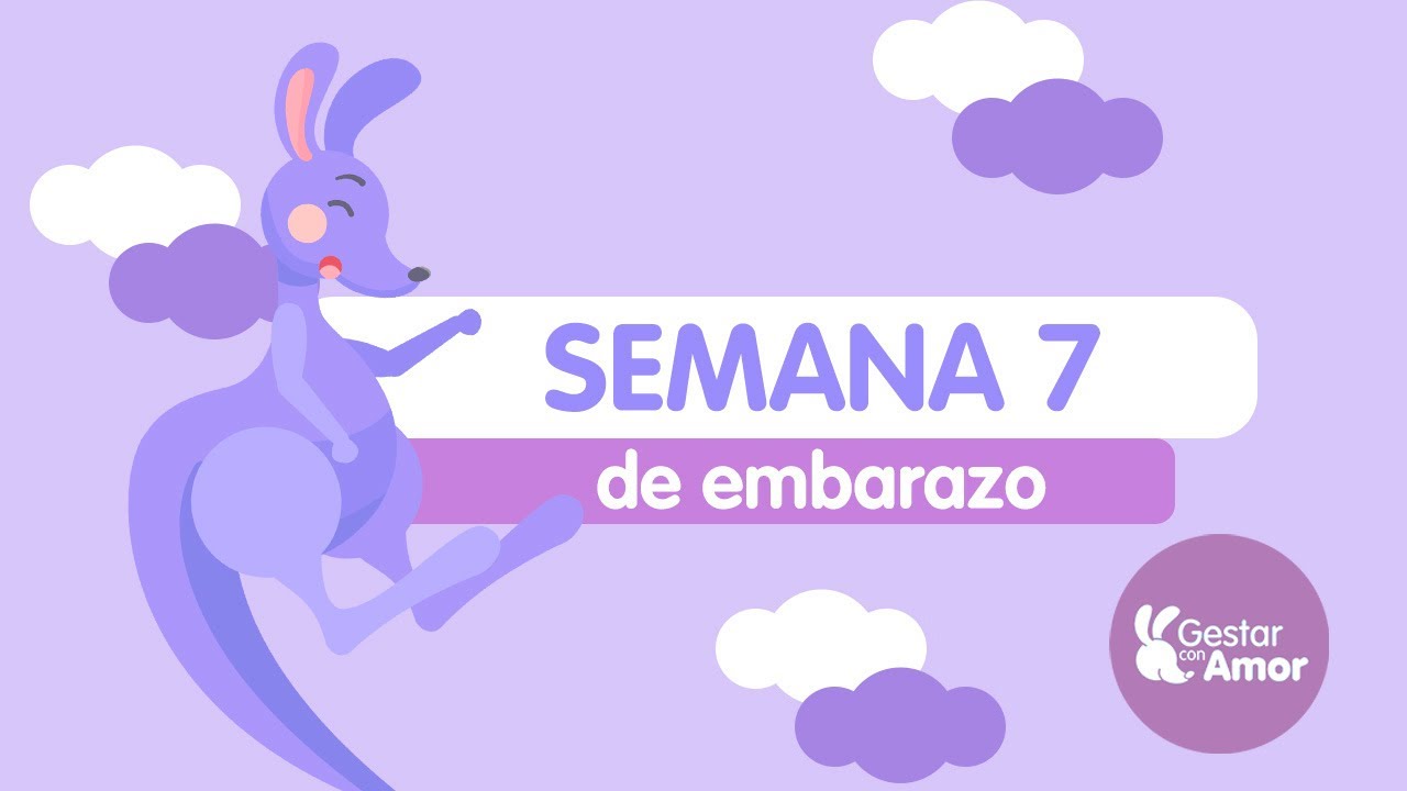 Semana 7 de embarazo: ¡Conexión umbilical!