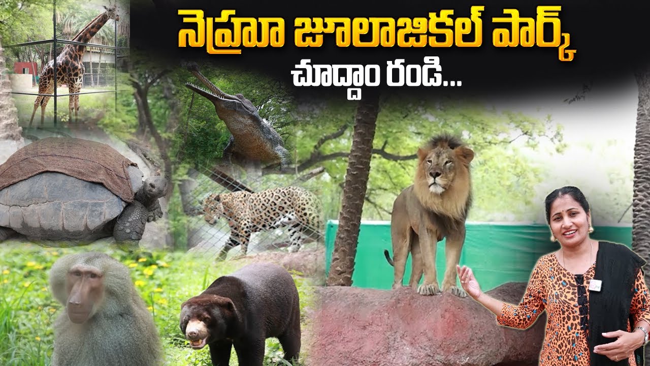NEHRU ZOOLOGICAL PARK HYDERABAD | Complete Tour | Anchor Nirupama | SumanTV Telugu