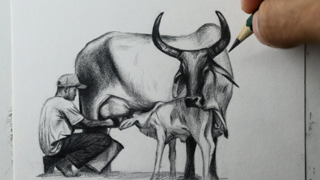 Como desenhar um Homem tirando leite da vaca - PASSO A PASSO - narrado completo