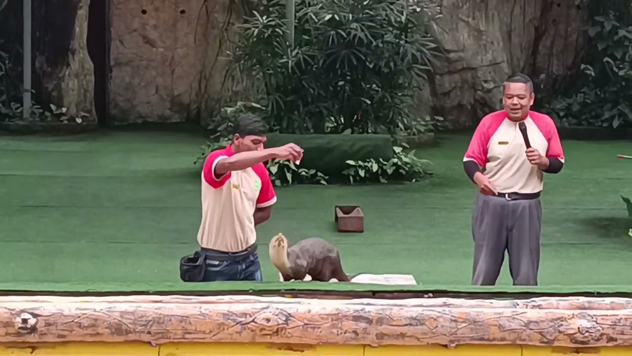 A'Famosa Safari Wonderland