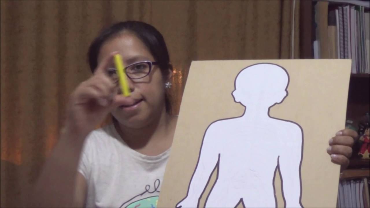 SISTEMA NERVIOSO MAQUETA