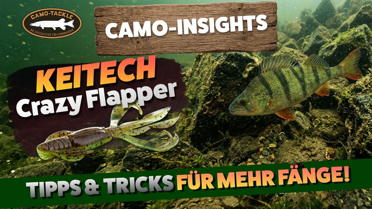 Camo-Insights 