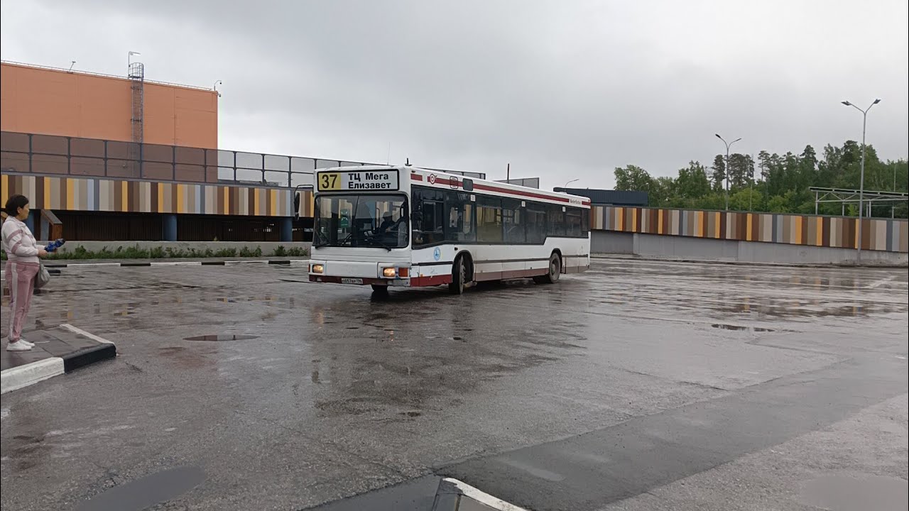 автобус MAN A10 NL202 маршрут номер 37 О 057 ВР 196