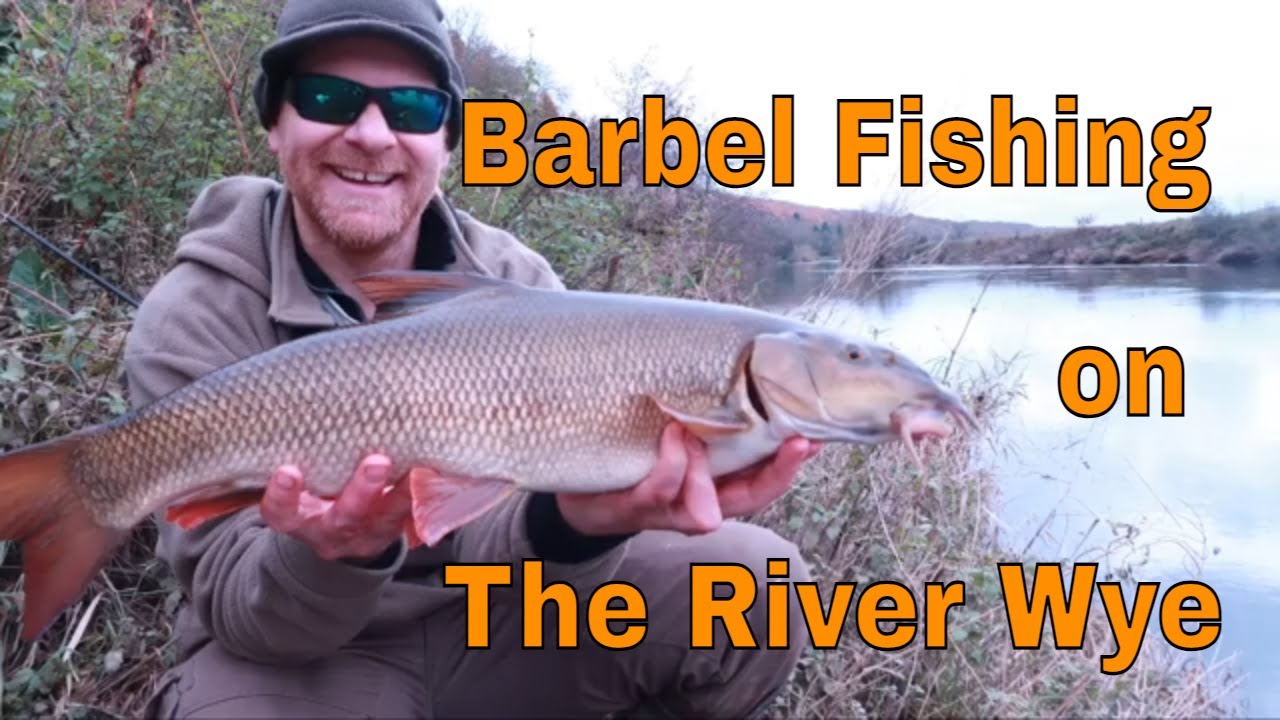 Barbel and Chub fishing on the river Wye.