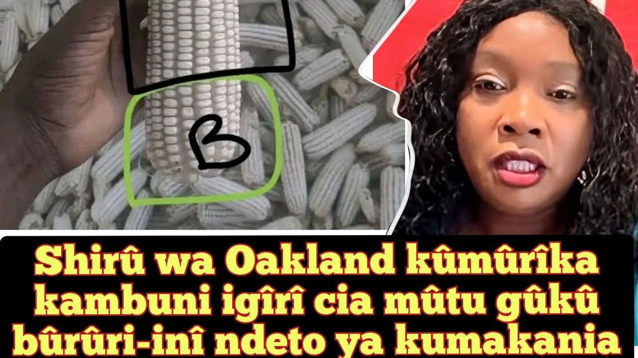 Shirû wa Oakland kûmûrîka kambuni igîrî cia mûtu gûkû bûrûri-inî 🤔