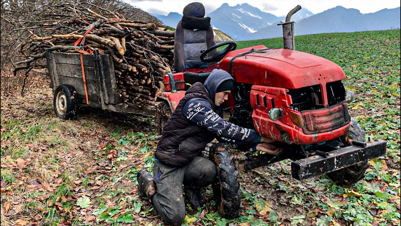 Life In The Mountains Gathering Firewood For The Winter