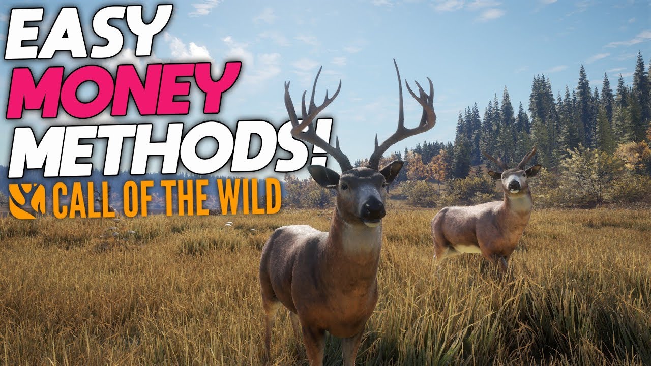 Как легко заработать! | theHunter: Call Of The Wild