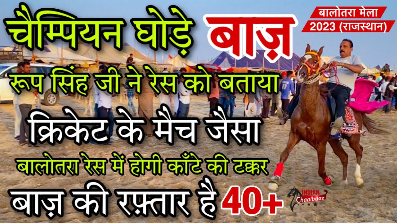 मिलिए चैम्पियन घोड़े बाज़ से रूप सिंह जी ने रेस को बताया क्रिकेट के मैच जैसा Balotra Horse Mela 2023
