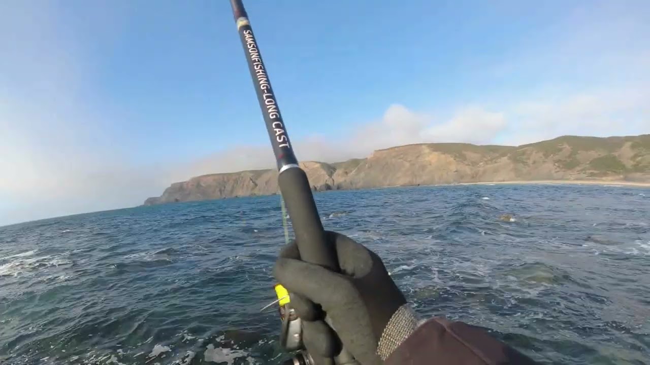 Samson Longcast 12ft Spinning Rod  (30g -100g) Canne &agrave; lancer basse!