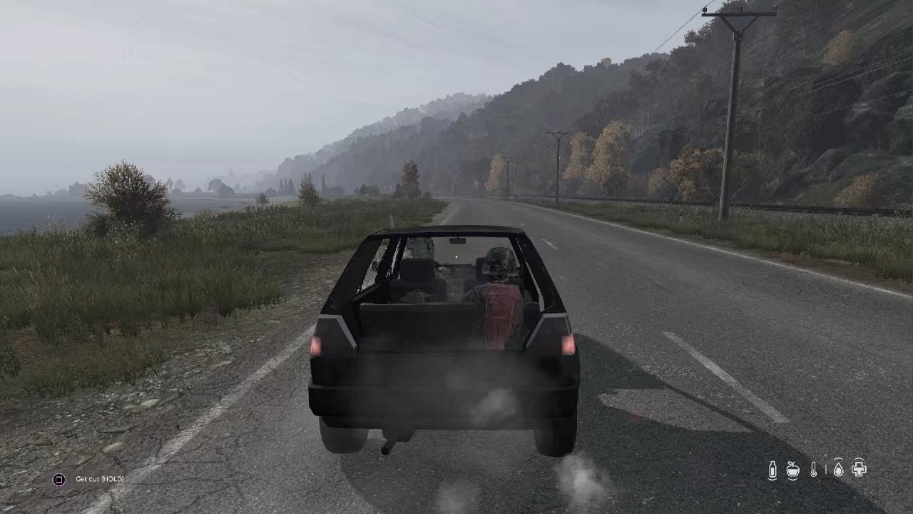 DayZ_20260215095502