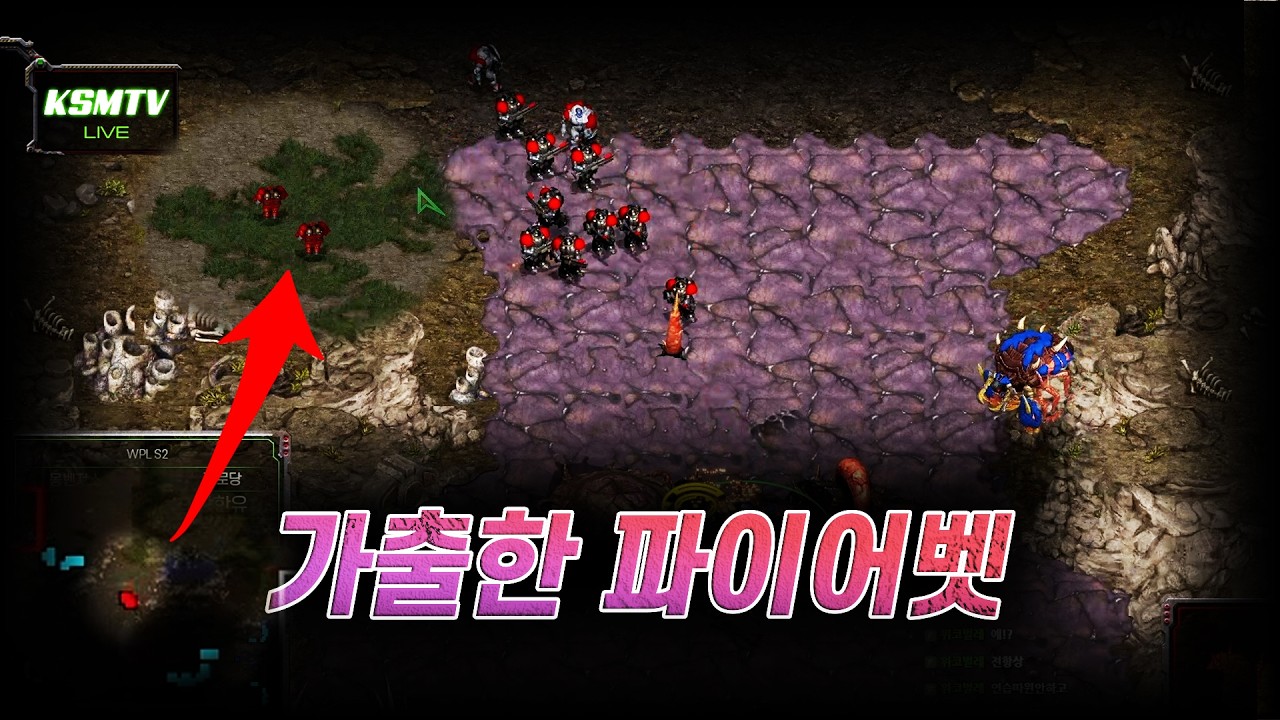 파이어벳 어디갓슨? WPL S2 1주차 3경기 임성수T vs 장한유Z