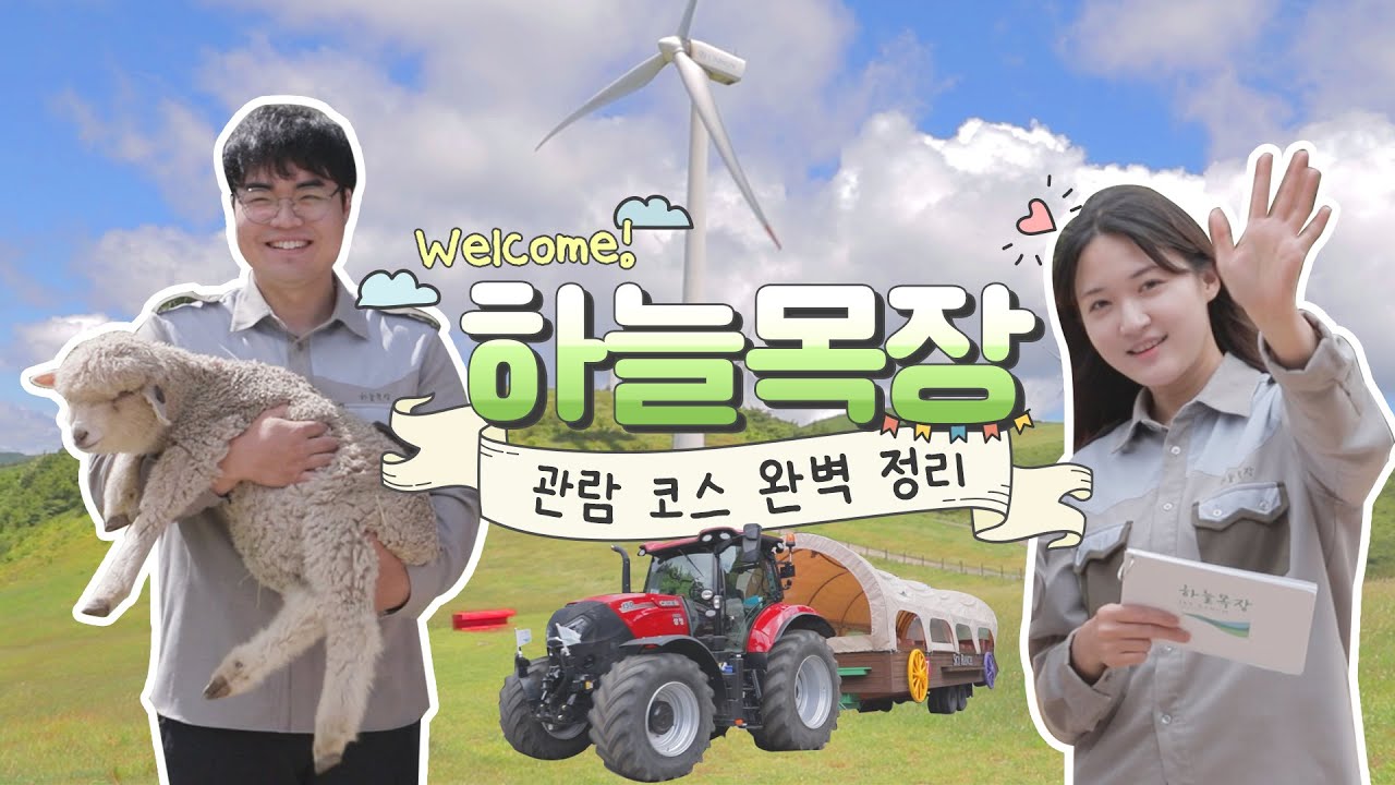 하늘목장 즐기기 1부