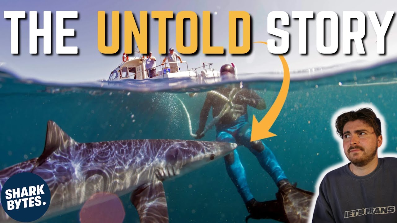 The UK's First Shark Attack - Shark Scientist Explains