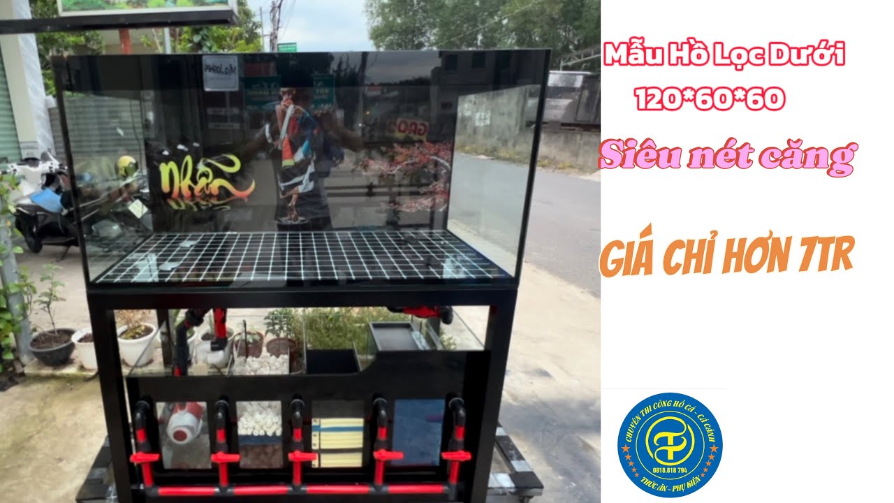 Hồ Lọc Tràn Dưới Mới Nhất Hiện Nay | Kích thước 120 60 60 - Được Dán Siêu Nét Căng - Ống Cao Cấp