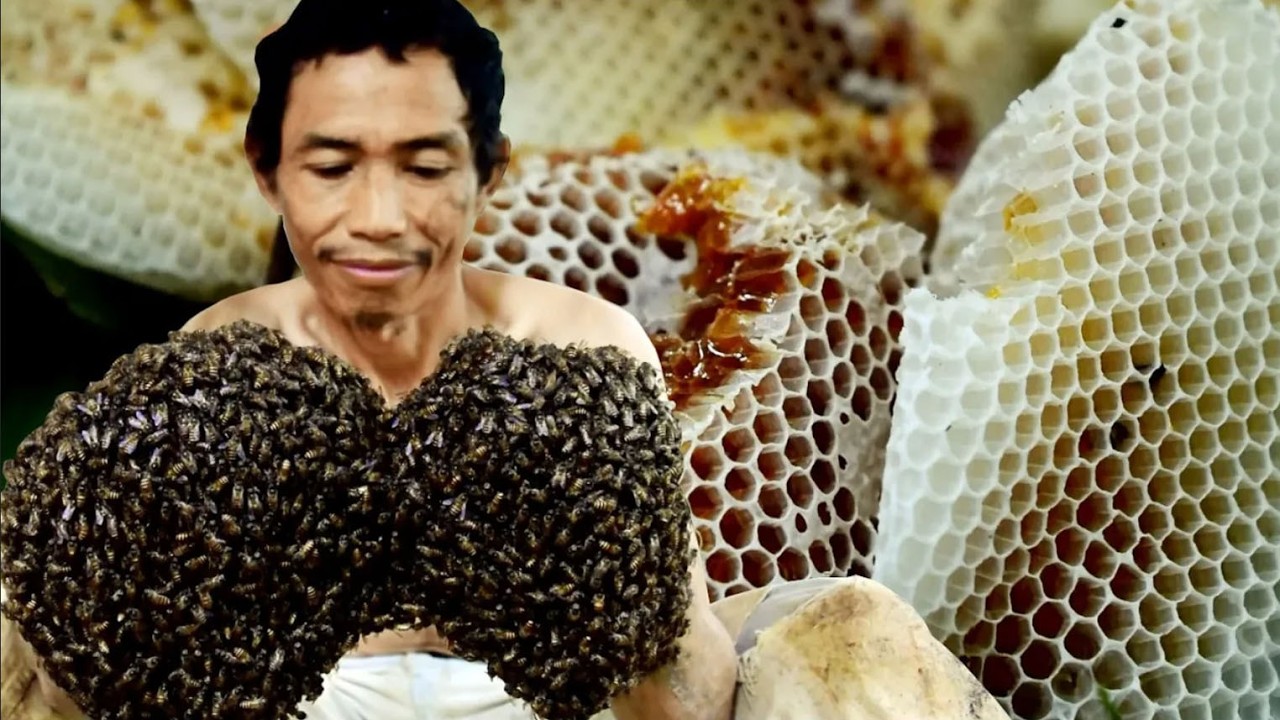 Primitive Technology Berburu Madu dan Lebah Hutan