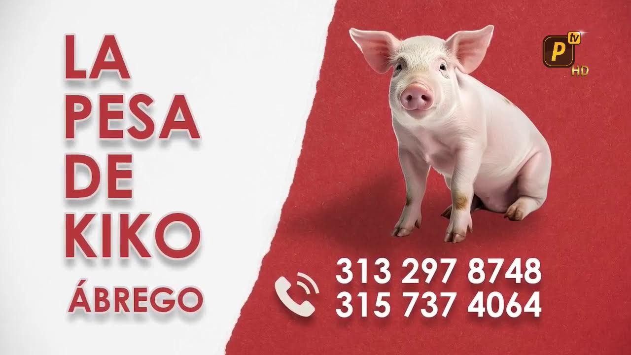 Magazín Nuestra Tierra   13/03/2025.