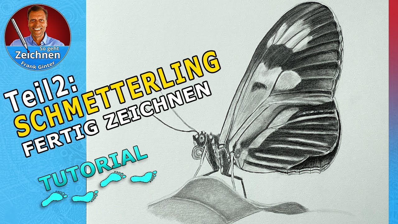 Teil2: Schmetterlinge zeichnen für Anfänger - Schmetterling mit Bleistiften zeichnen Tutorial