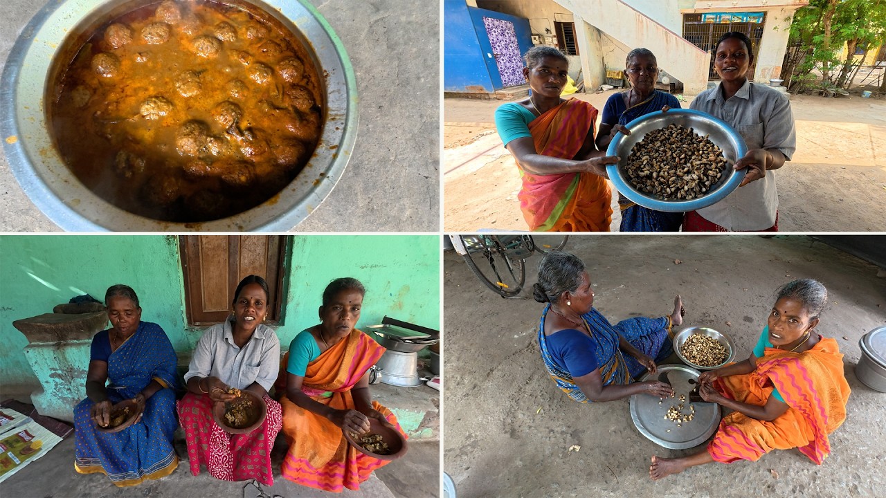 உடல் சூடு ,மூலத்துக்கு சிறந்த மருந்து /மாமியும் சந்திரா அக்காவும்  செய்த நத்தை கோலா உருண்டை குழம்பு