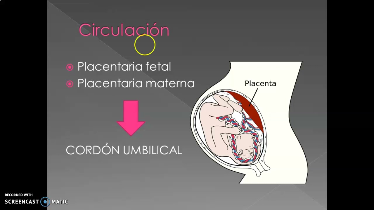 Membranas fetales y placenta