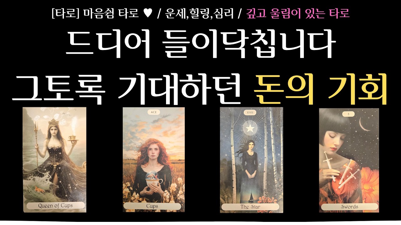 [타로] 마음쉼 타로 ★ / 운세 타로 / 앞으로 돈의 흐름 / 재물운이 열리는 시기 / 재물운을 키우는 행동