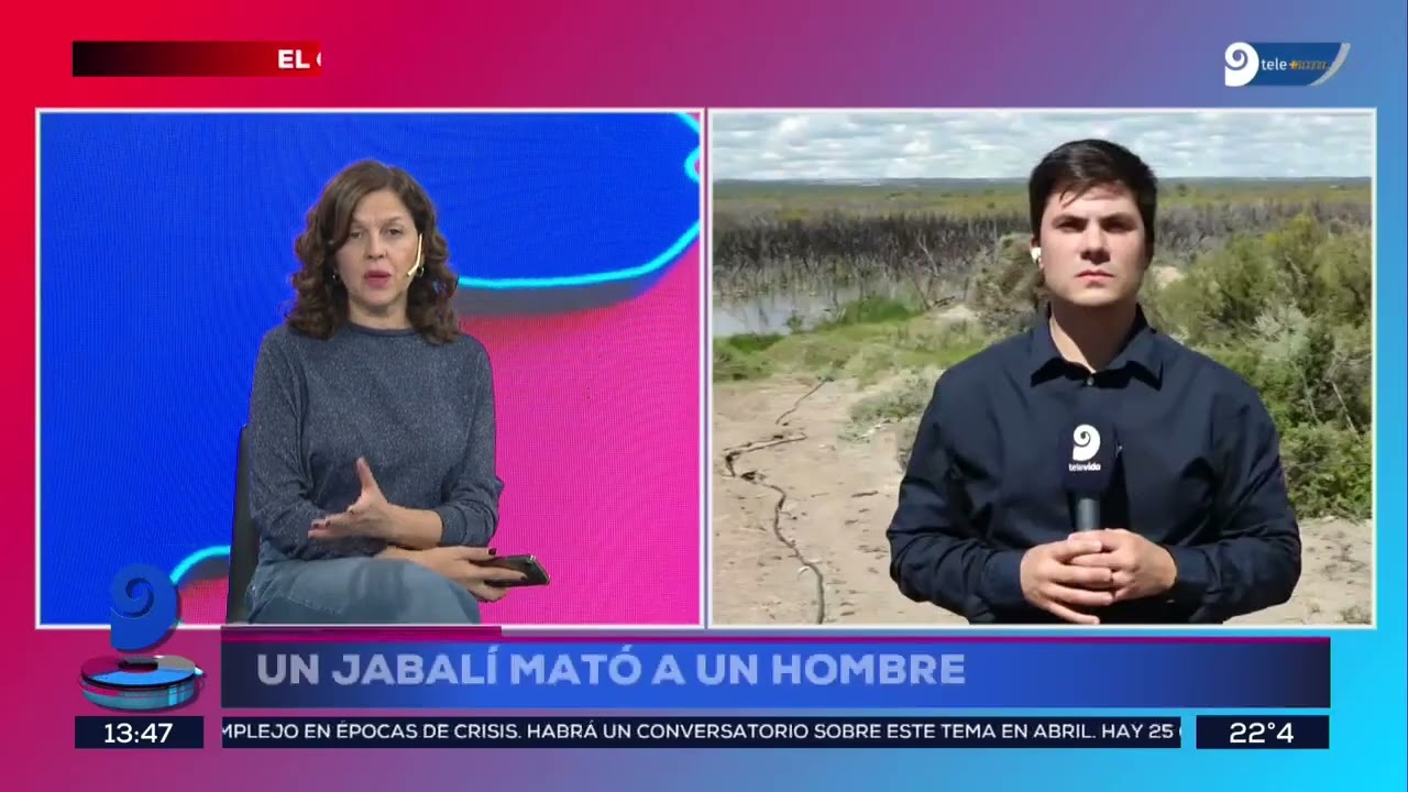 Un jabalí mató a un hombre en El Carrizal