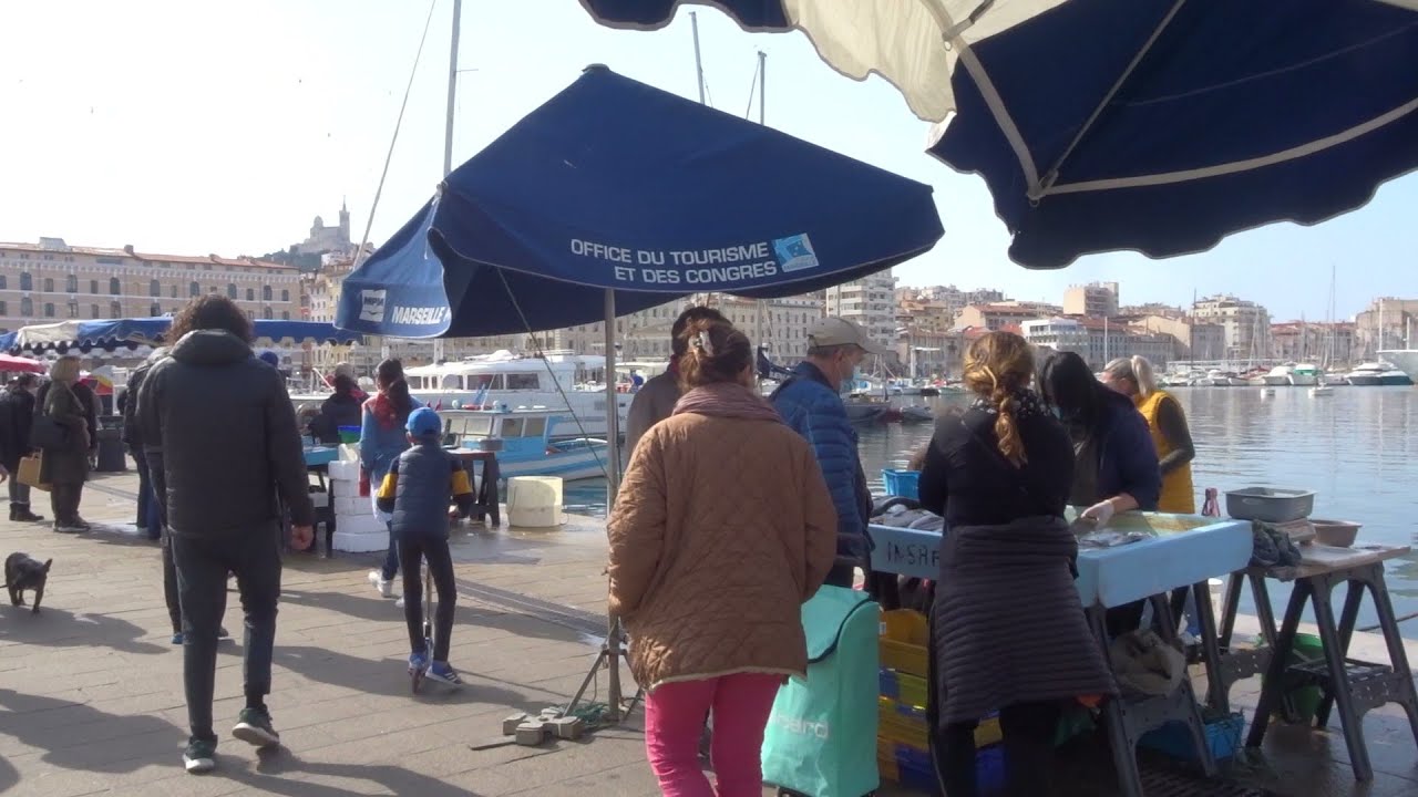 Pêche #sardines #Vieux #Port #Marseille France #Cherifa #mariepanic 7 mars 2021