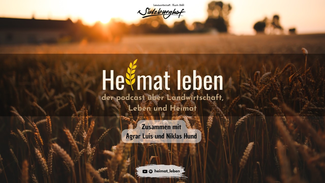 Fendt 620 und Beziehungspläne für die Zukunft😬 | Folge 6 | HEIMAT LEBEN | Sulzburghof Landwirtschaft