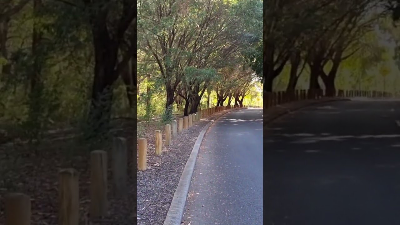 Walk in the park. #perth #nature #relaxing #walking #subiaco #citylife