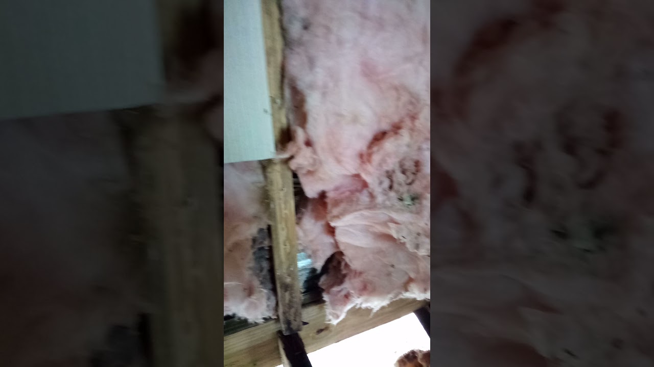 3- the wet rot was only as bad as the burned wood.