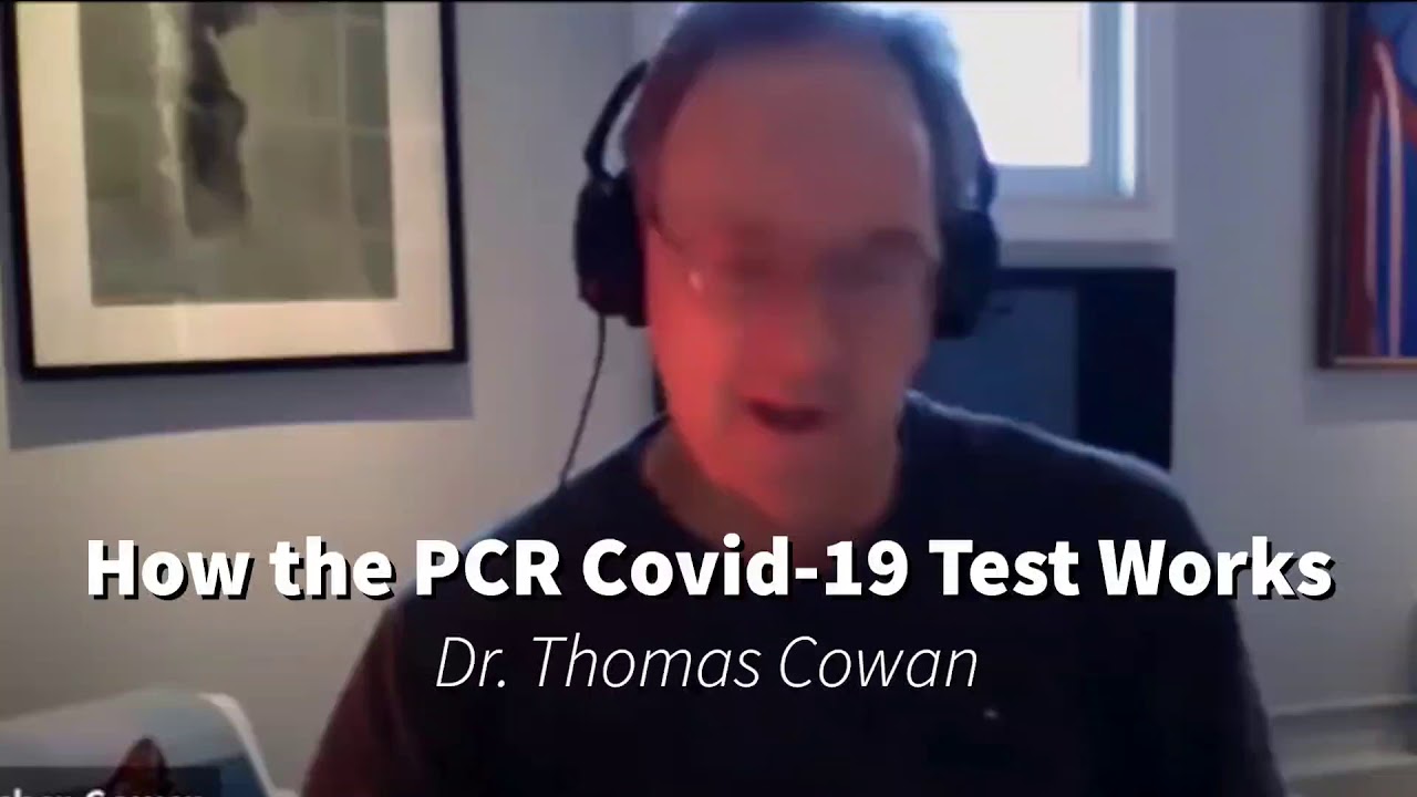 How the RT-PCR Covid-19 Test Works