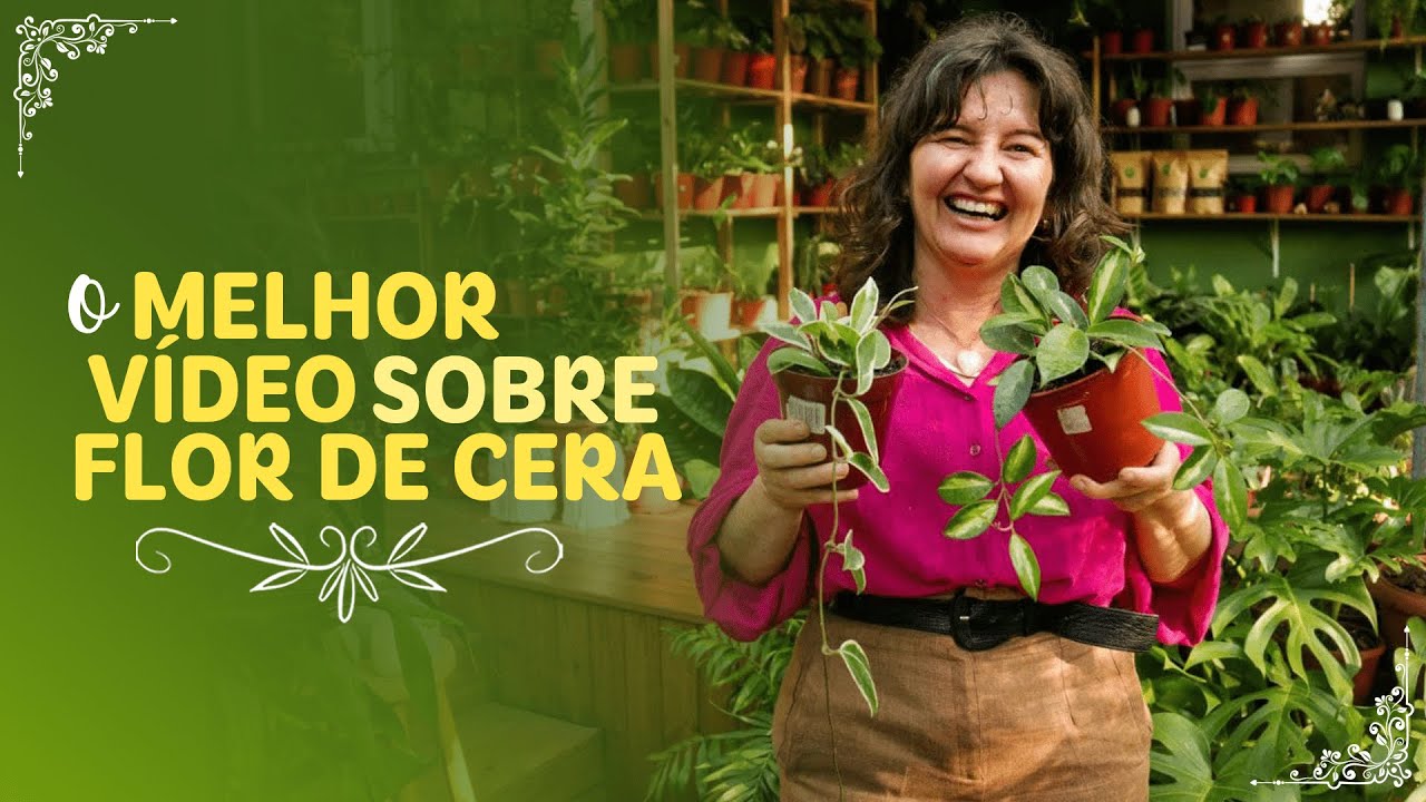 Conheça o NOVO MÉTODO que VAI AJUDAR VOCÊ nos CUIDADOS da FLOR DE CERA