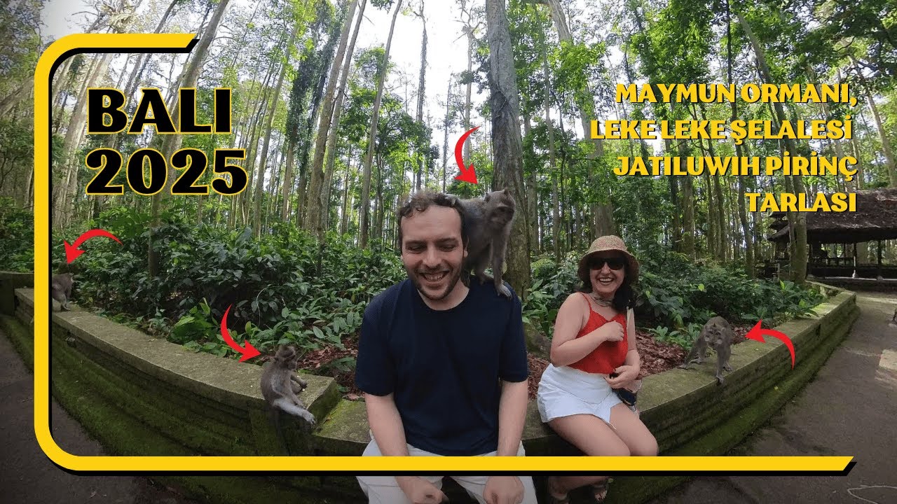 Bali’de 4. & 5. Gün | Dinlenme Günü + Monkey Forest, Leke Leke, Jatiluwih, Masaj ✨