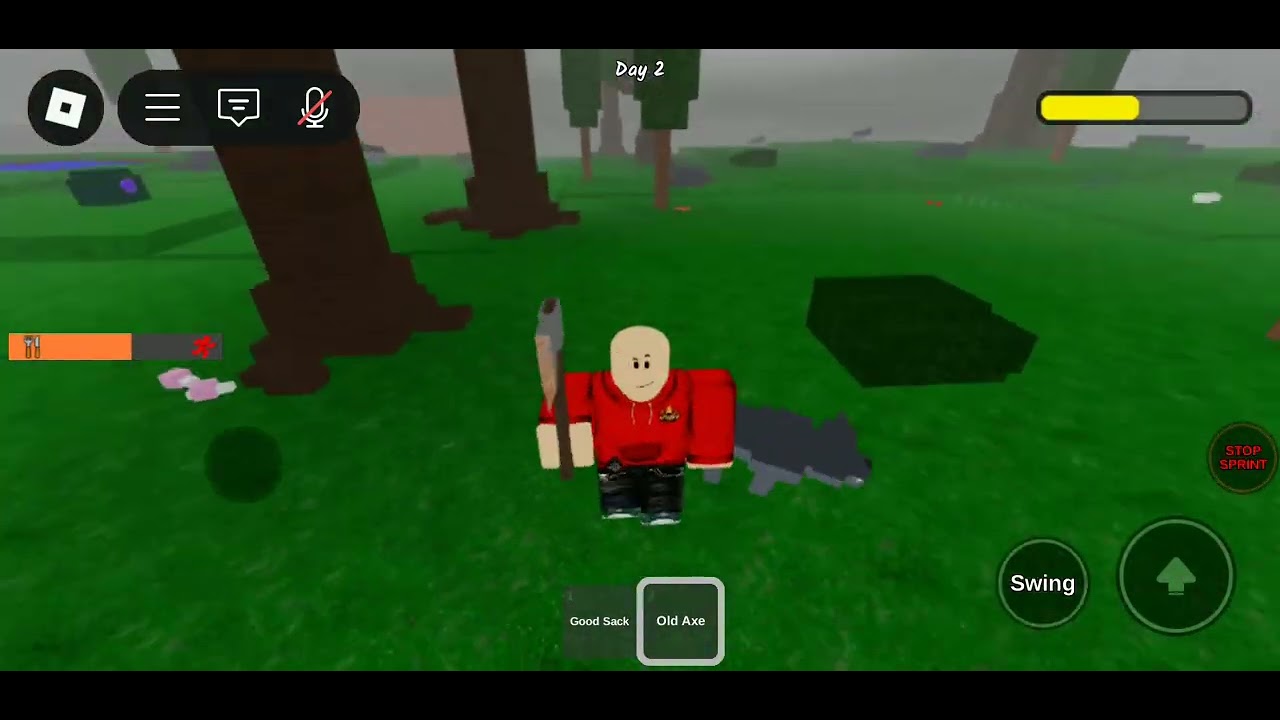Playing 99 nights in the forest 
