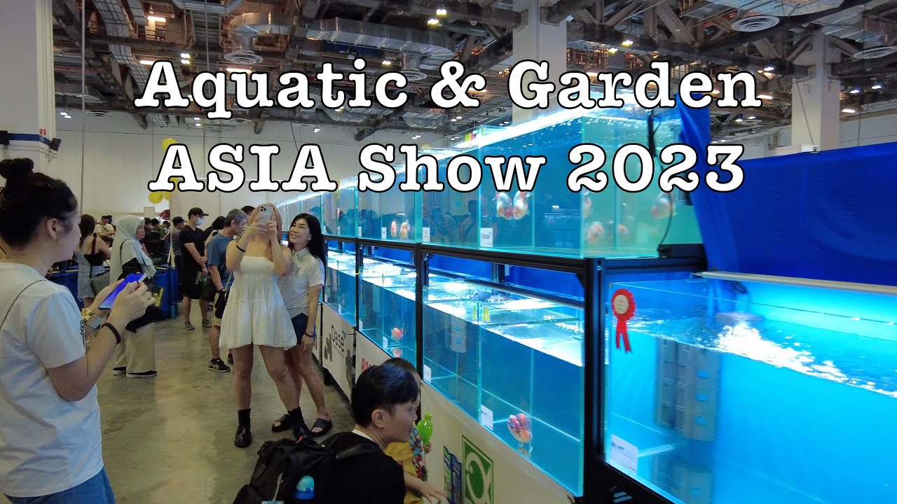 2023 Aquatic & Garden ASIA Show at MBS 4K #fish #gardening #singapore