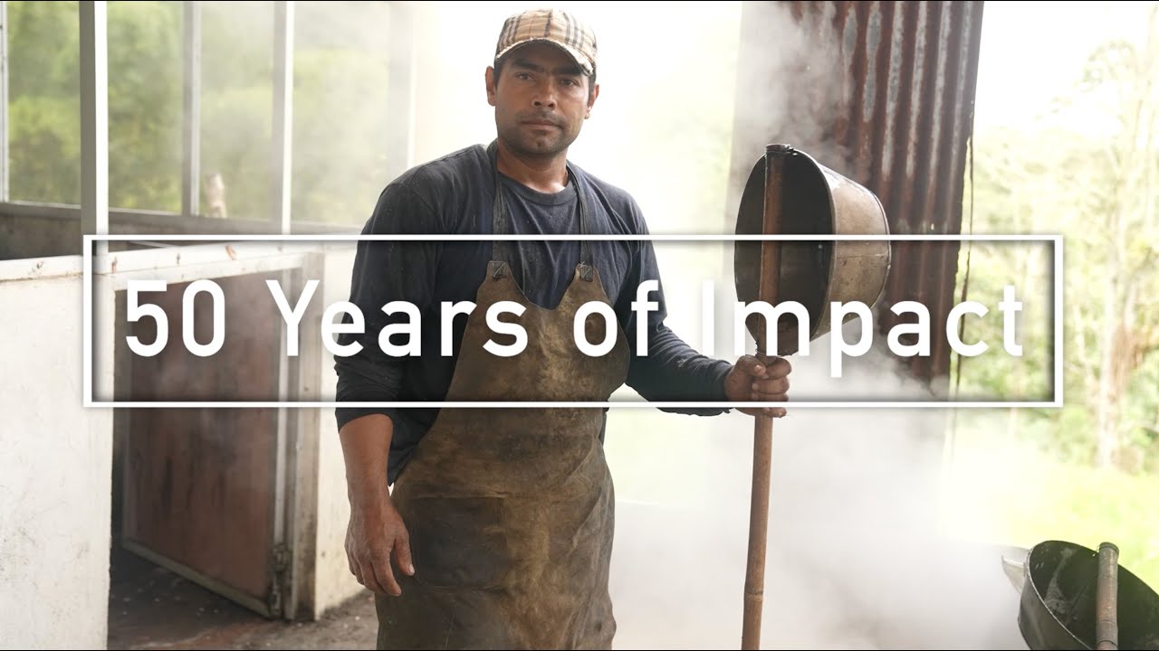 WhyHunger Celebrates 50 Years of Impact