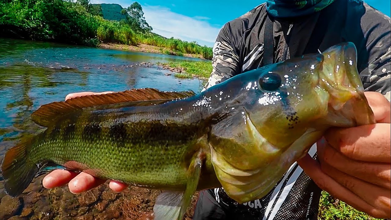 Você conhece o TUCUNARÉ DOS PAMPAS? Batendo recorde no ULTRALIGHT.