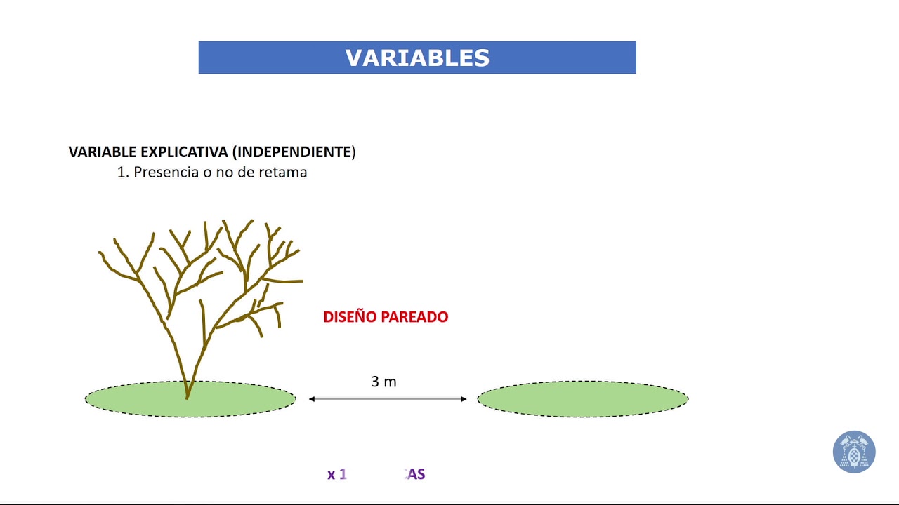 2   Organizacion toma de datos