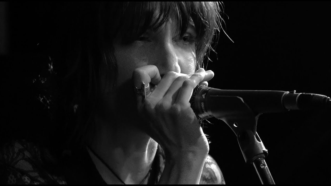 Suzie Stapleton - Song of The Artesian Water (live)