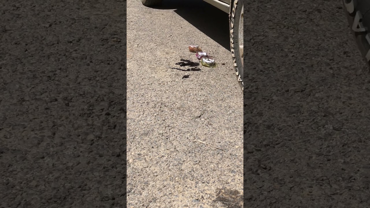 Crushing by car | #classichonda  | #crush How to | Classic Honda