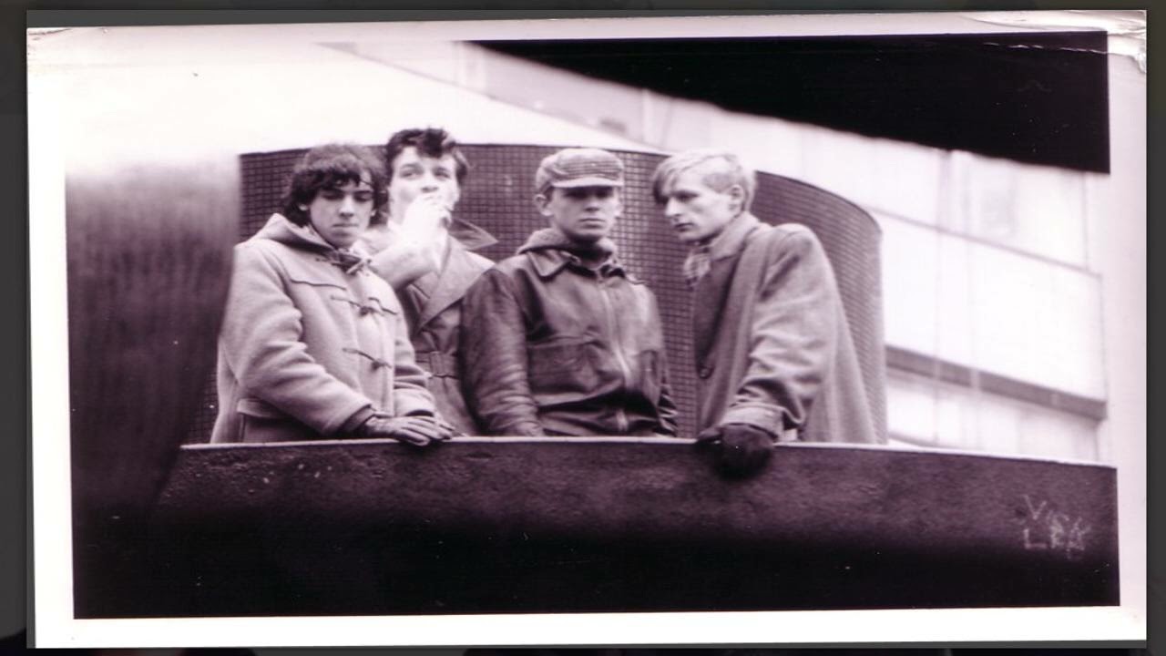 Wild Swans - Revolutionary Spirit {1982}