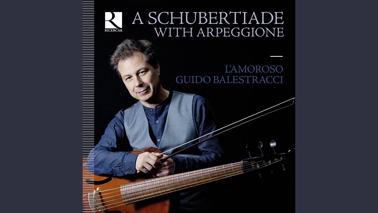 Sonatine No.1 in D Major, D. 384: I. Allegro molto